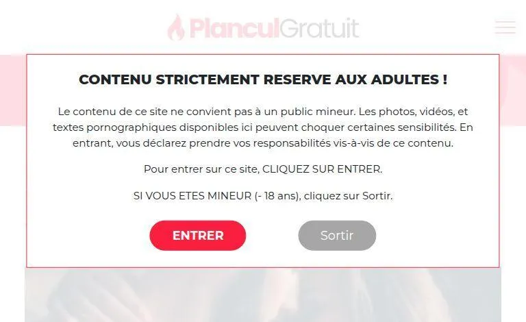 The Power of SEO Blogs: How Plancul-gratuit.fr Can Help Your Website