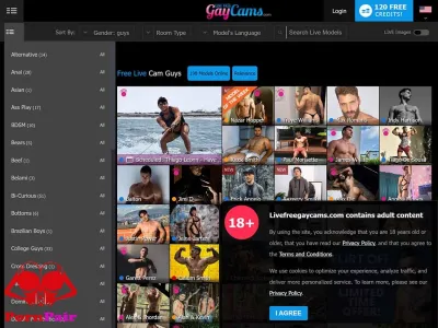 Live Free Gay Cams