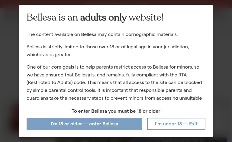 Bellesa.co Affiliate & Content Program Review: What Creators Need to Know affairpage