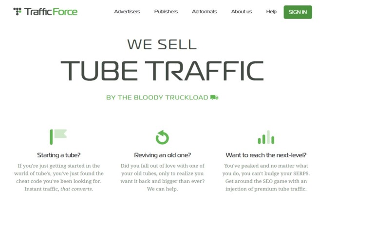 Traffic Force: Getting Attention for Your Website affairpage